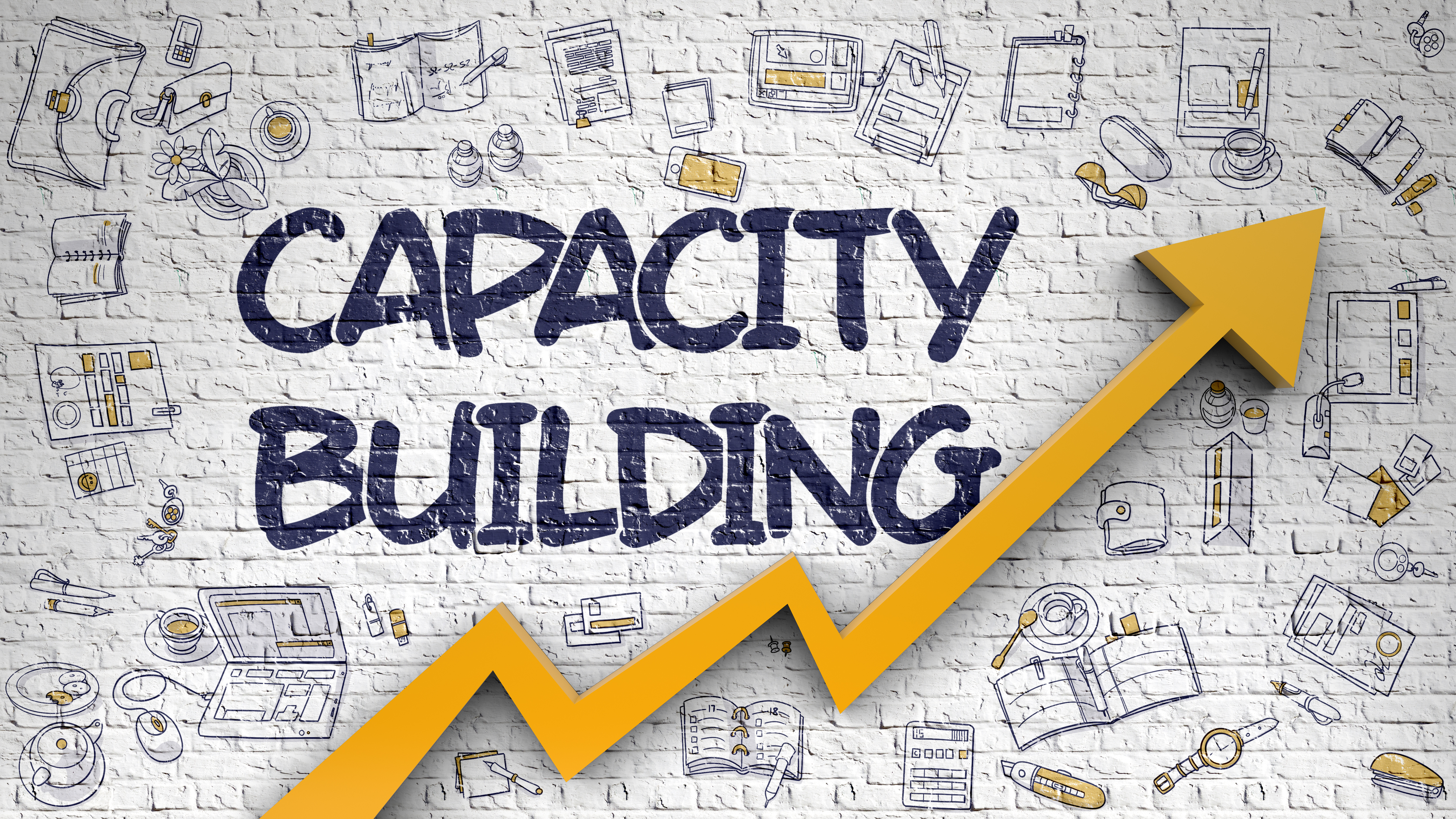Building Capacity Across Alberta